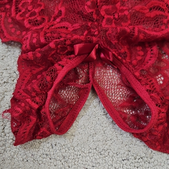 Elegant Seductive Red Scalloped Lace Teddy Bodysuit - Picture 11 of 12